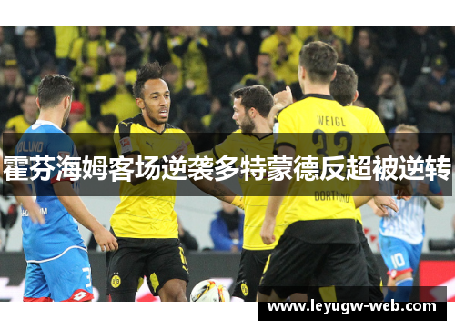 霍芬海姆客场逆袭多特蒙德反超被逆转