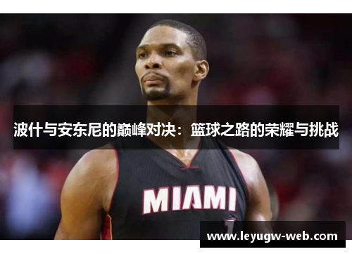 波什与安东尼的巅峰对决：篮球之路的荣耀与挑战