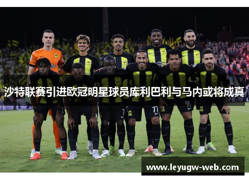 沙特联赛引进欧冠明星球员库利巴利与马内或将成真