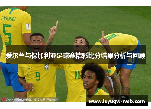 爱尔兰与保加利亚足球赛精彩比分结果分析与回顾